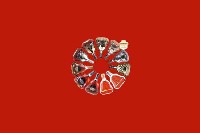 宜秀回收红酒